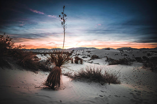 Chasing Light: A Sunset at White Sands National Park